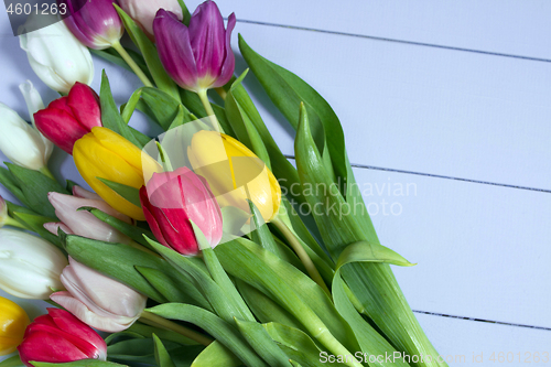 Image of Tulips flowers background