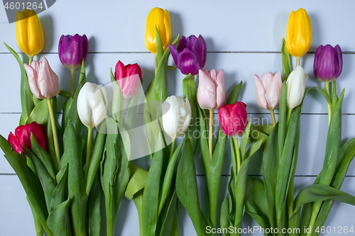 Image of Tulips flowers background