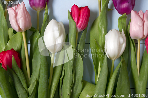 Image of Tulips flowers background