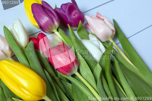 Image of Tulips flowers background