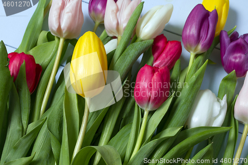 Image of Tulips flowers background