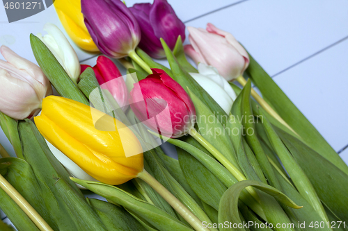 Image of Tulips flowers background