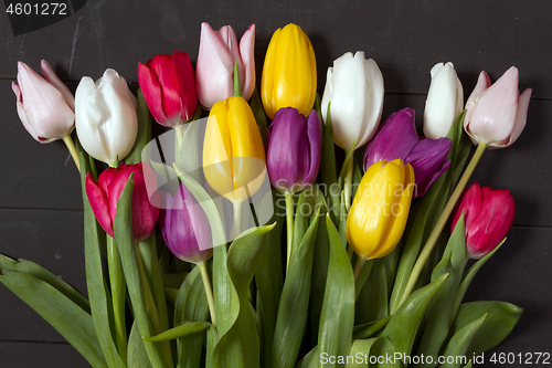 Image of Tulips flowers background