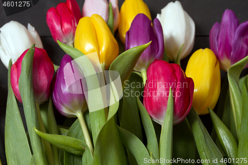 Image of Tulips flowers background