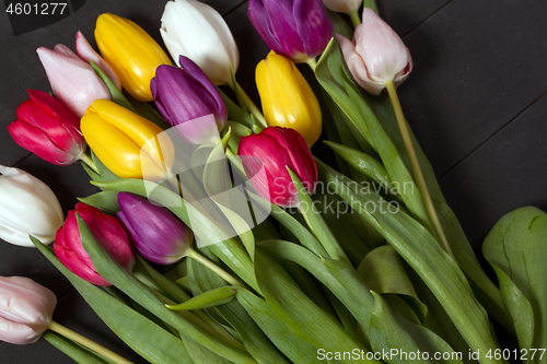 Image of Tulips flowers background