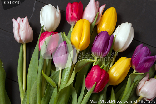 Image of Tulips flowers background