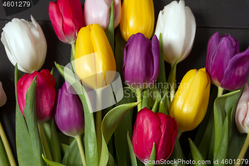 Image of Tulips flowers background