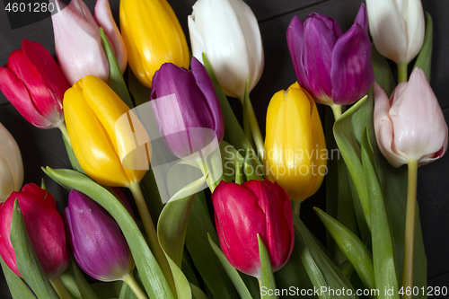 Image of Tulips flowers background