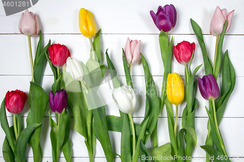 Image of Tulips flowers background