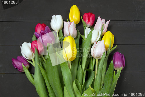 Image of Tulips flowers background