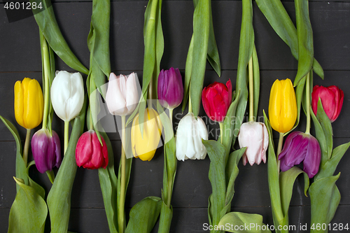 Image of Tulips flowers background