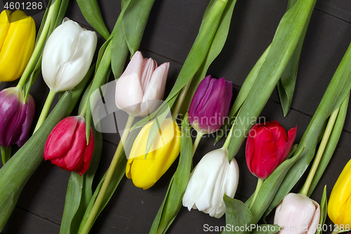 Image of Tulips flowers background