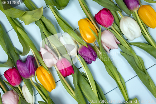 Image of Tulips flowers background