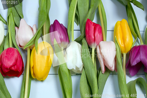 Image of Tulips flowers background