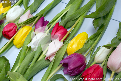 Image of Tulips flowers background