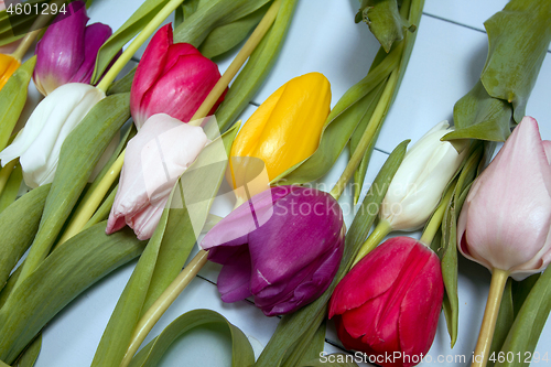 Image of Tulips flowers background