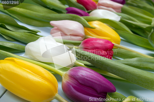 Image of Tulips flowers background