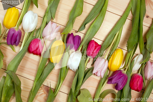 Image of Tulips flowers background