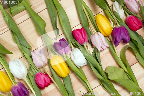 Image of Tulips flowers background