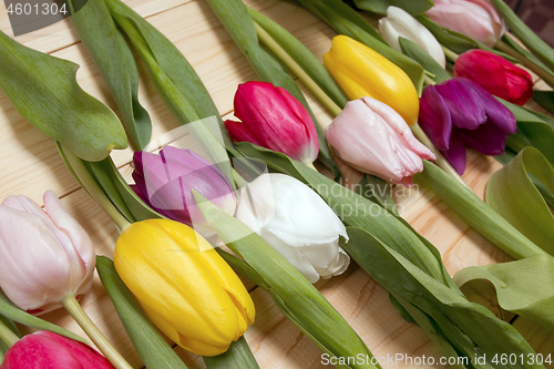 Image of Tulips flowers background