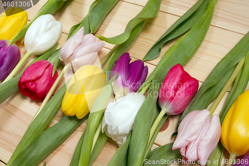 Image of Tulips flowers background