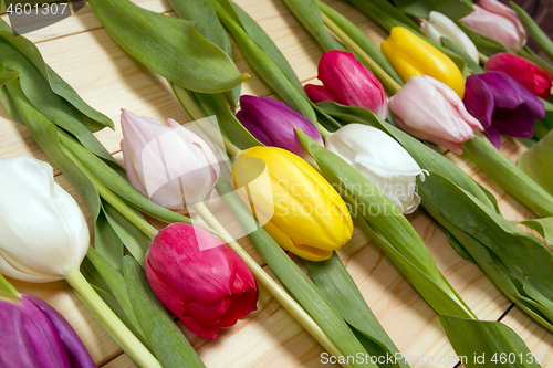 Image of Tulips flowers background