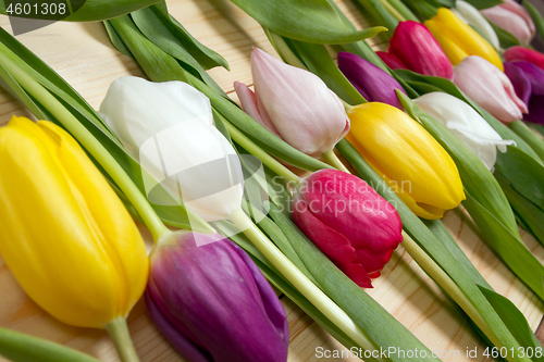Image of Tulips flowers background
