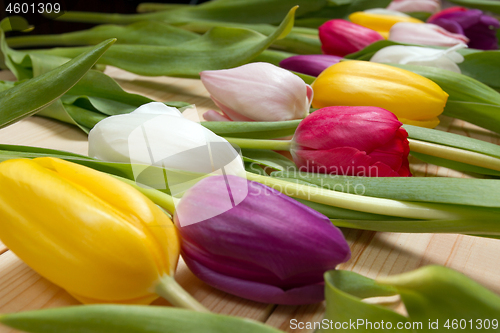 Image of Tulips flowers background