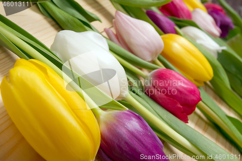 Image of Tulips flowers background