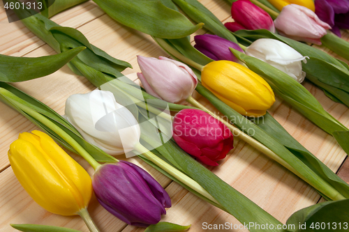 Image of Tulips flowers background