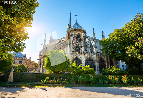 Image of Notre Dame at sunrise