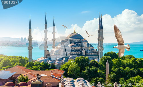 Image of Blue Mosque and Bosphorus