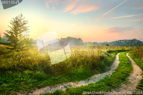 Image of Road and spring field