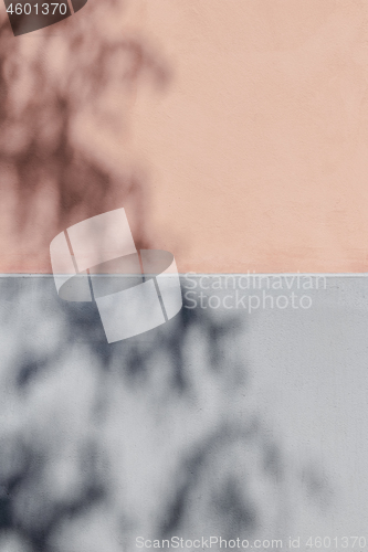 Image of Shadow of tree branches on a wall