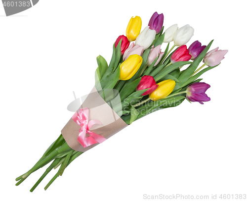 Image of Tulips flowers isolated on white background