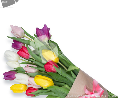 Image of Tulips flowers background