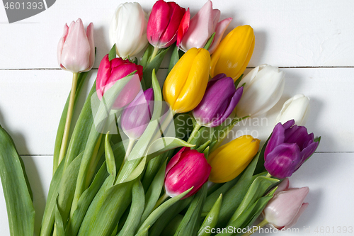 Image of Tulips flowers background