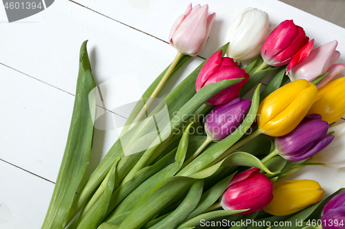 Image of Tulips flowers background