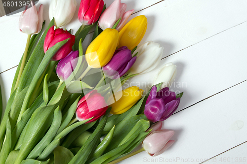Image of Tulips flowers background