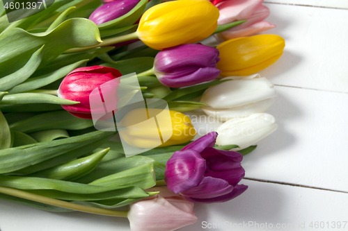 Image of Tulips flowers background