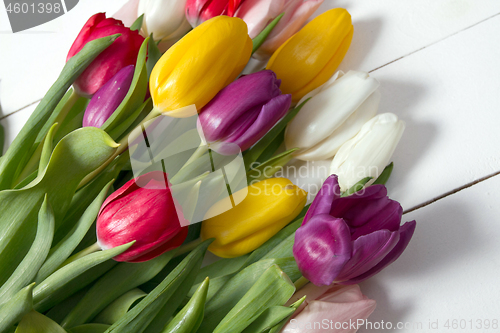 Image of Tulips flowers background