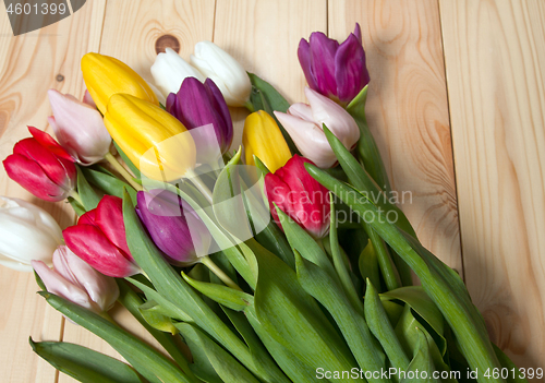 Image of Tulips flowers background