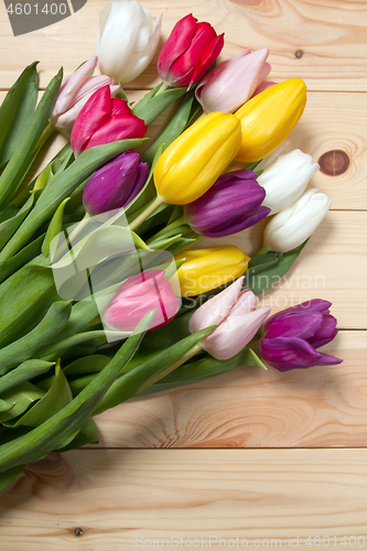 Image of Tulips flowers background