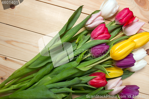 Image of Tulips flowers background