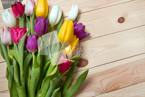 Image of Tulips flowers background