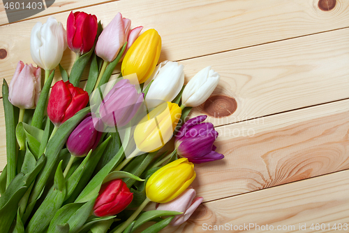 Image of Tulips flowers background