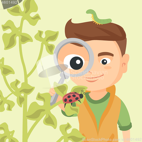 Image of Boy looking through a magnifying glass at ladybug.