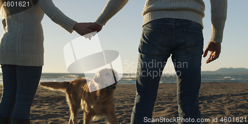 Image of couple with dog having fun on beach on autmun day