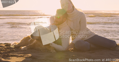 Image of Couple with dog enjoying time on beach