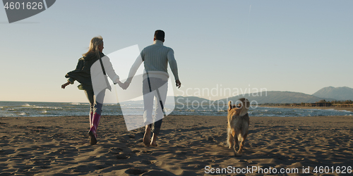 Image of couple with dog having fun on beach on autmun day